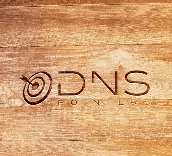 DNS Pointers